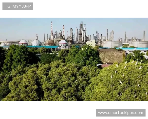 中国凯发集团有限公司在绿色能源领域的投资布局与可持续发展战略研究